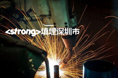 <strong>填埋深圳市危险废物处理站有限公司化工设施安全解体：如何高效处理复杂工业遗留问题？</strong>